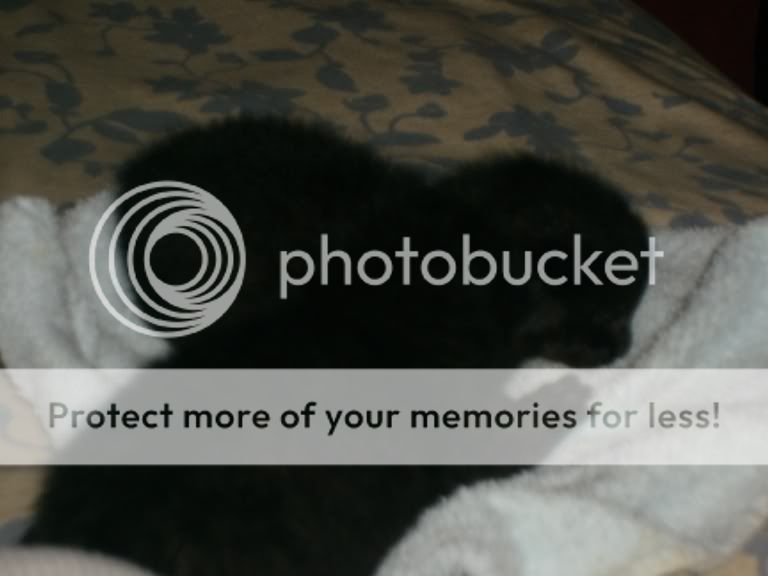 S7300505.jpg