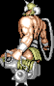 blacktigershield.gif