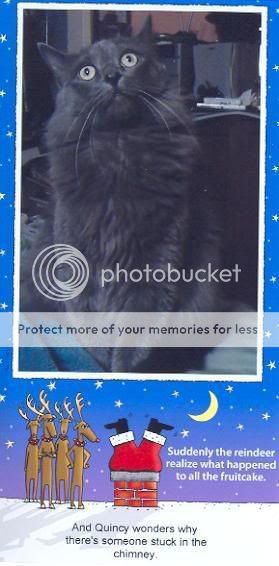 quincyxmas.jpg