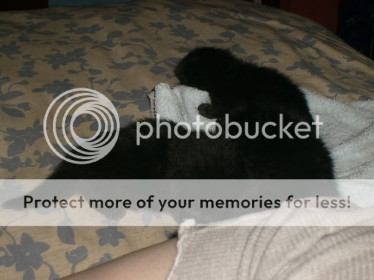 S7300506.jpg