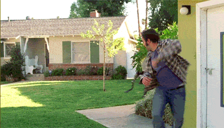 235627388517.gif